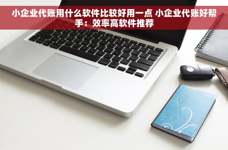 小企业代账用什么软件比较好用一点 小企业代账好帮手：效率高软件推荐