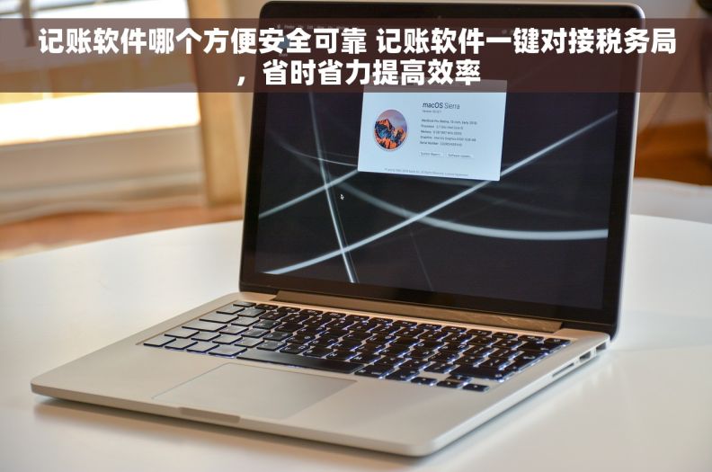 记账软件哪个方便安全可靠 记账软件一键对接税务局，省时省力提高效率
