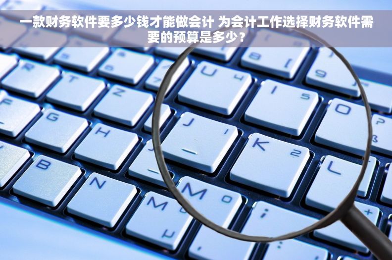 一款财务软件要多少钱才能做会计 为会计工作选择财务软件需要的预算是多少？