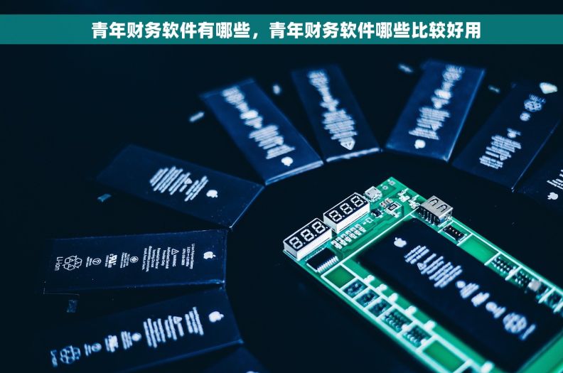   青年财务软件有哪些，青年财务软件哪些比较好用