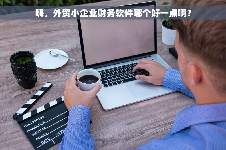 嗨，外贸小企业财务软件哪个好一点啊？
