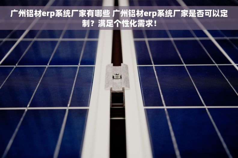 广州铝材erp系统厂家有哪些 广州铝材erp系统厂家是否可以定制？满足个性化需求！