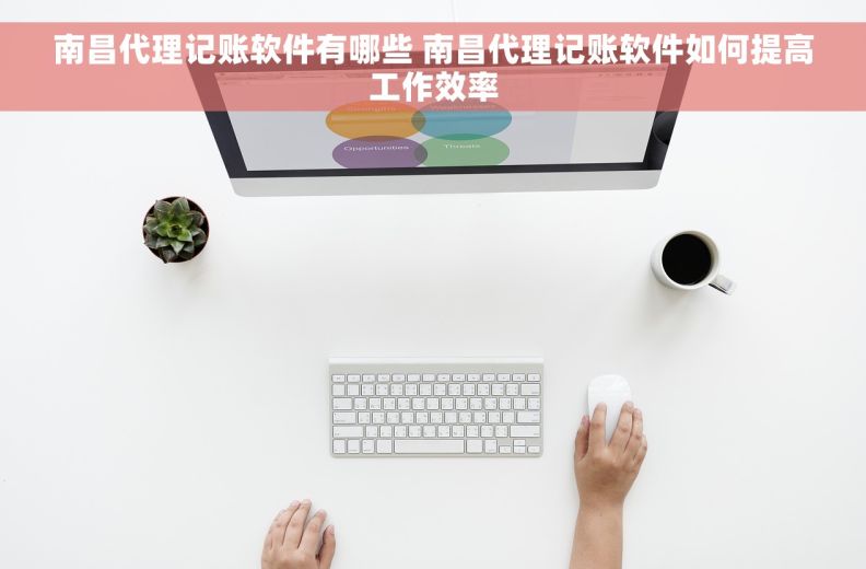 南昌代理记账软件有哪些 南昌代理记账软件如何提高工作效率