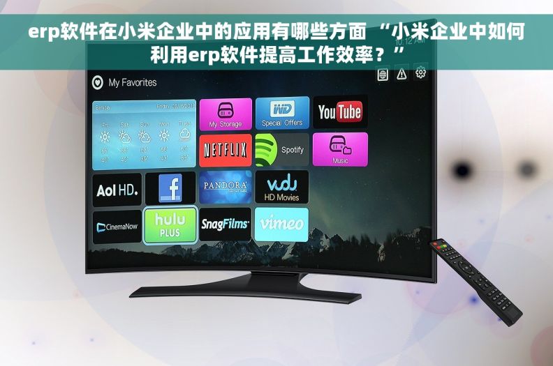 erp软件在小米企业中的应用有哪些方面 “小米企业中如何利用erp软件提高工作效率？”