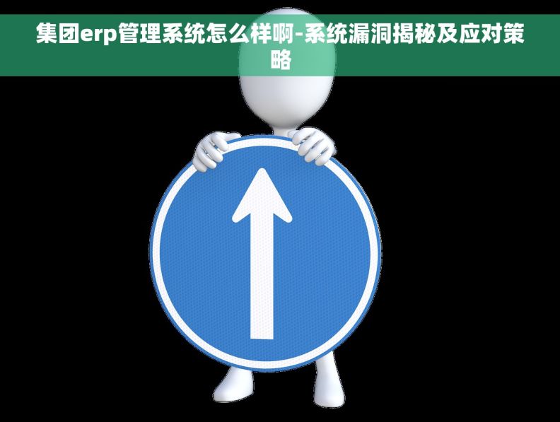 集团erp管理系统怎么样啊-系统漏洞揭秘及应对策略