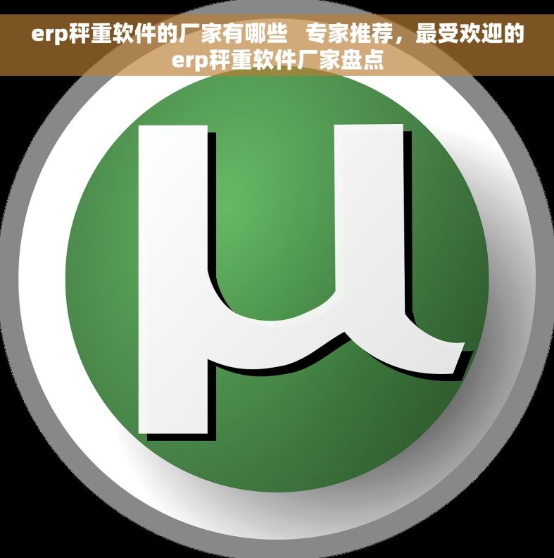 erp秤重软件的厂家有哪些   专家推荐，最受欢迎的erp秤重软件厂家盘点