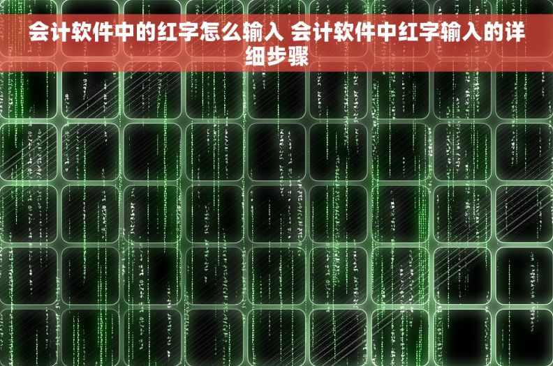 会计软件中的红字怎么输入 会计软件中红字输入的详细步骤