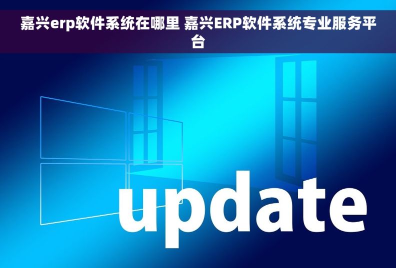 嘉兴erp软件系统在哪里 嘉兴ERP软件系统专业服务平台