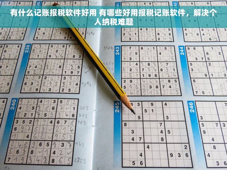 有什么记账报税软件好用 有哪些好用报税记账软件，解决个人纳税难题