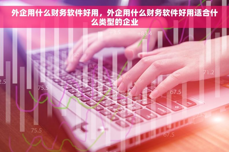 	外企用什么财务软件好用，外企用什么财务软件好用适合什么类型的企业