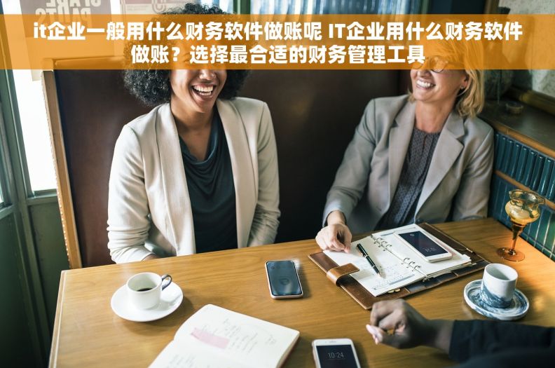 it企业一般用什么财务软件做账呢 IT企业用什么财务软件做账?选择最合适的财务管理工具 it企业一般用什么财务软件做账呢 IT企业用什么财务软件做账?选择最合适的财务管理工具