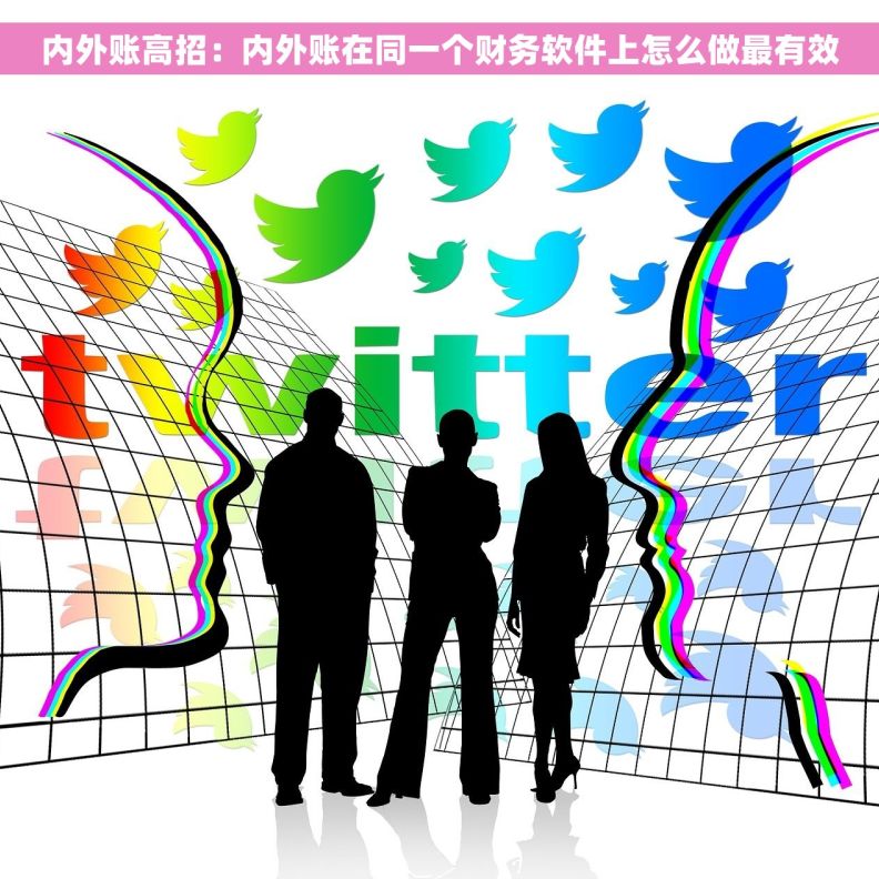 内外账高招：内外账在同一个财务软件上怎么做最有效