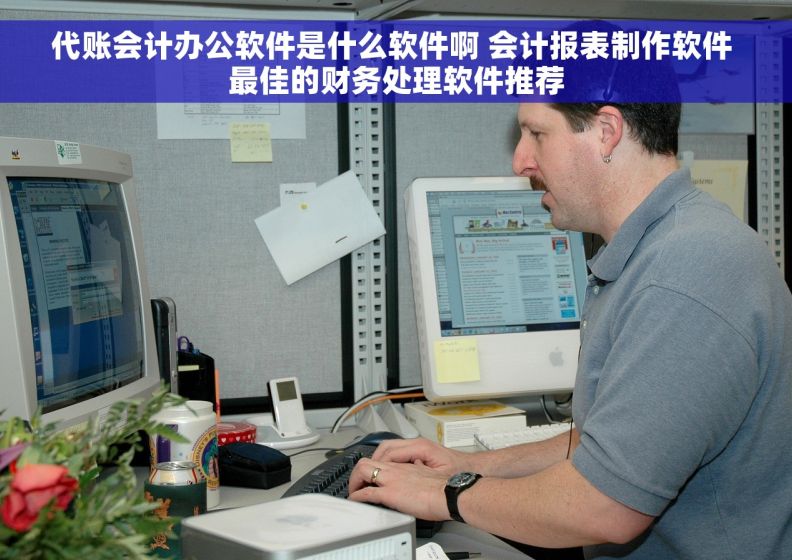 代账会计办公软件是什么软件啊 会计报表制作软件 最佳的财务处理软件推荐