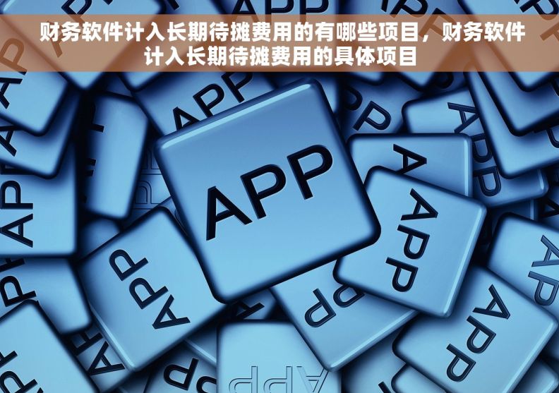  财务软件计入长期待摊费用的有哪些项目，财务软件计入长期待摊费用的具体项目