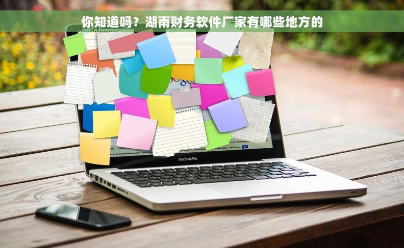 你知道吗？湖南财务软件厂家有哪些地方的