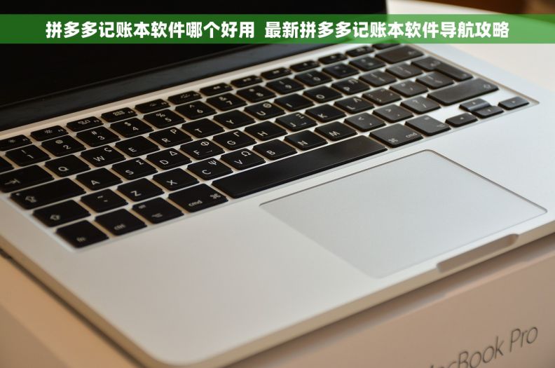 拼多多记账本软件哪个好用  最新拼多多记账本软件导航攻略