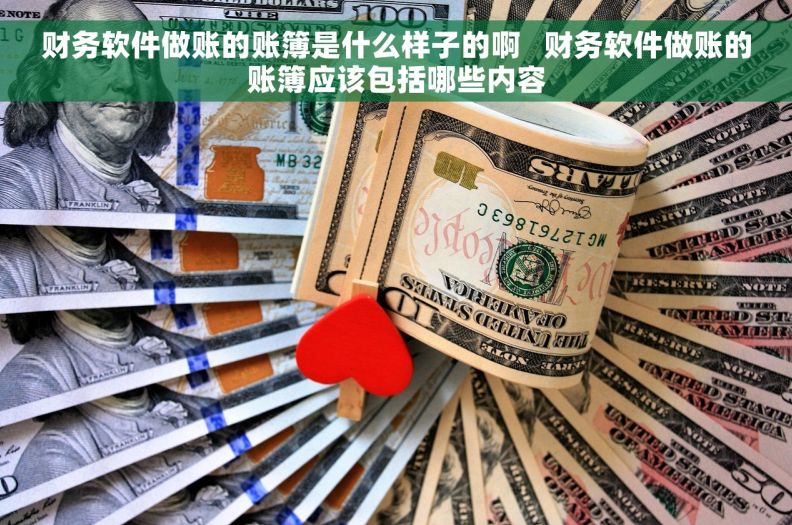 财务软件做账的账簿是什么样子的啊   财务软件做账的账簿应该包括哪些内容