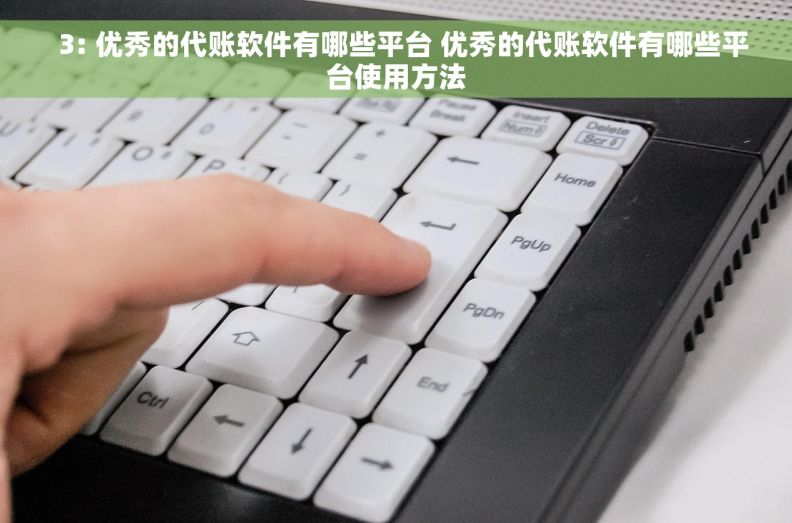 3: 优秀的代账软件有哪些平台 优秀的代账软件有哪些平台使用方法   3: 优秀的代账软件有哪些平台 优秀的代账软件有哪些平台使用方法