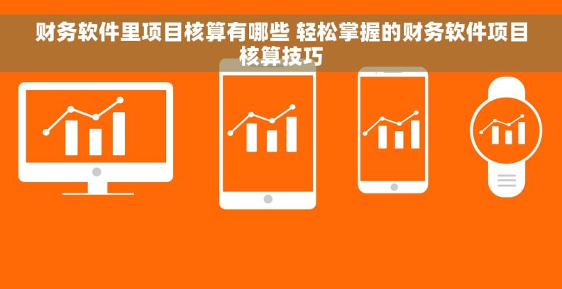 财务软件里项目核算有哪些 轻松掌握的财务软件项目核算技巧