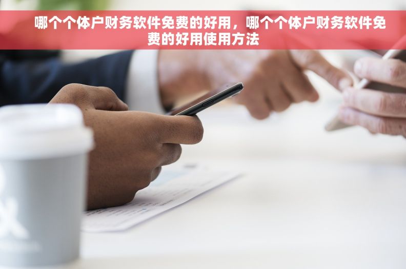 哪个个体户财务软件免费的好用,哪个个体户财务软件免费的好用使用方法     哪个个体户财务软件免费的好用,哪个个体户财务软件免费的好用使用方法