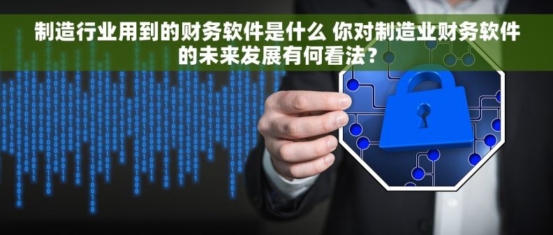 制造行业用到的财务软件是什么 你对制造业财务软件的未来发展有何看法? 制造行业用到的财务软件是什么 你对制造业财务软件的未来发展有何看法?