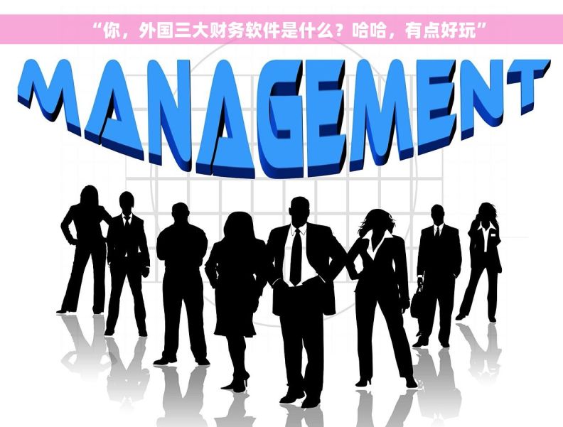 “你，外国三大财务软件是什么？哈哈，有点好玩”