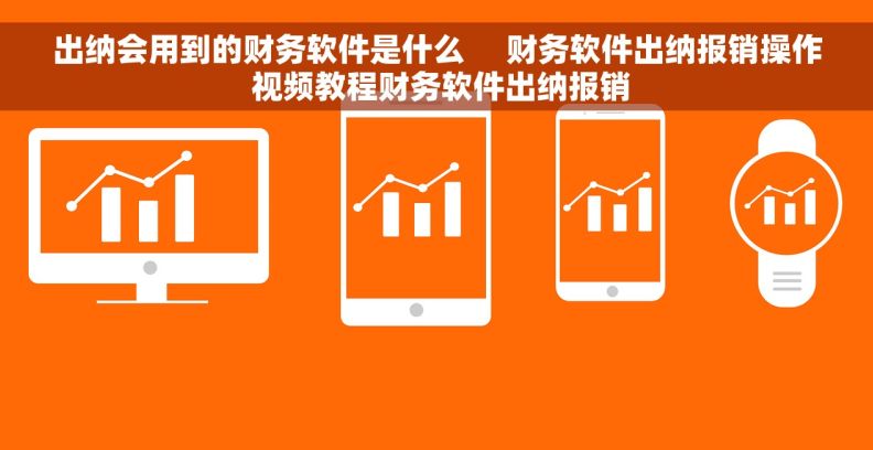 出纳会用到的财务软件是什么     财务软件出纳报销操作 视频教程财务软件出纳报销 出纳会用到的财务软件是什么     财务软件出纳报销操作 视频教程财务软件出纳报销