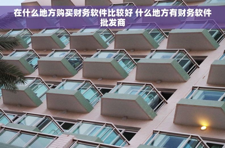 在什么地方购买财务软件比较好 什么地方有财务软件批发商 在什么地方购买财务软件比较好 什么地方有财务软件批发商
