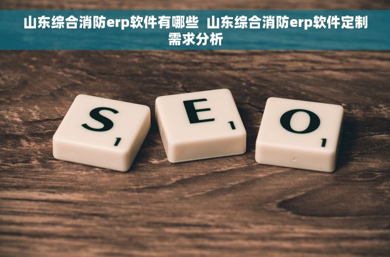 山东综合消防erp软件有哪些  山东综合消防erp软件定制需求分析