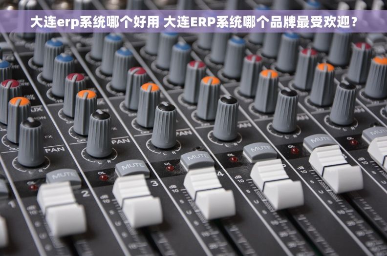 大连erp系统哪个好用 大连ERP系统哪个品牌最受欢迎？