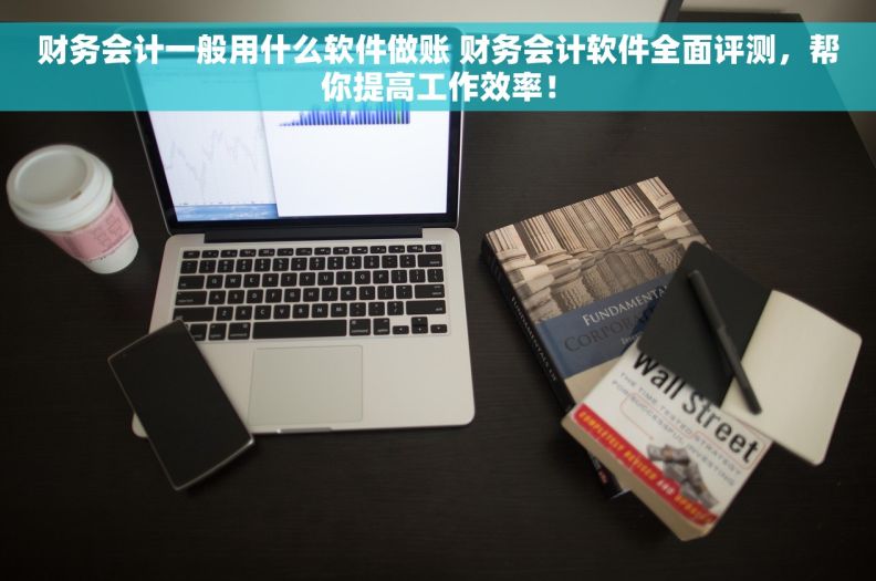财务会计一般用什么软件做账 财务会计软件全面评测，帮你提高工作效率！