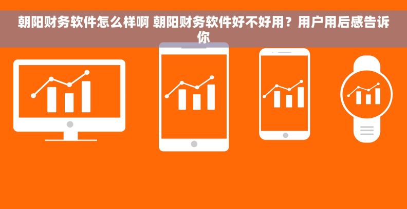 朝阳财务软件怎么样啊 朝阳财务软件好不好用？用户用后感告诉你