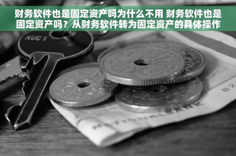 财务软件也是固定资产吗为什么不用 财务软件也是固定资产吗？从财务软件转为固定资产的具体操作流程是什么？