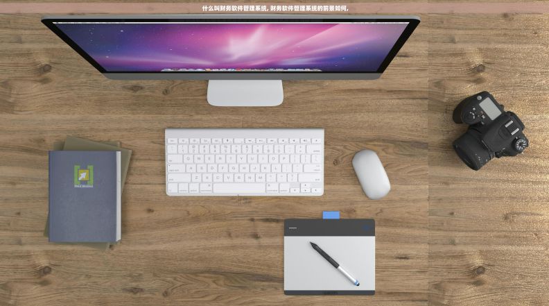  什么叫财务软件管理系统, 财务软件管理系统的前景如何,