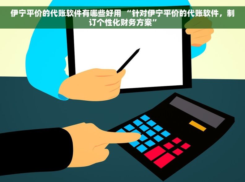 伊宁平价的代账软件有哪些好用 “针对伊宁平价的代账软件，制订个性化财务方案”