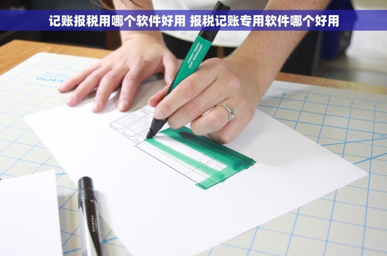 记账报税用哪个软件好用 报税记账专用软件哪个好用