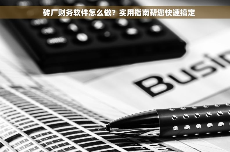    砖厂财务软件怎么做？实用指南帮您快速搞定
