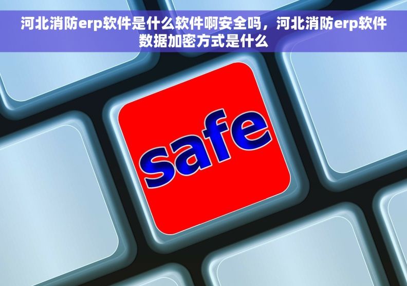 河北消防erp软件是什么软件啊安全吗，河北消防erp软件数据加密方式是什么