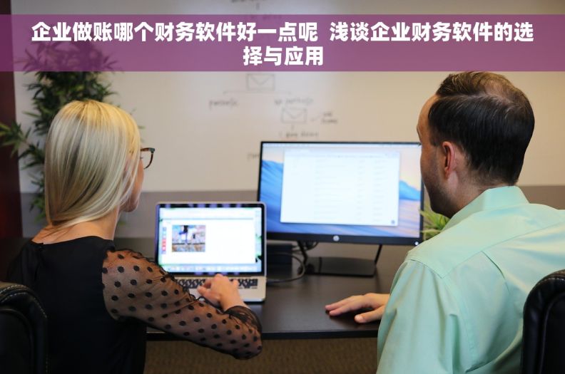 企业做账哪个财务软件好一点呢  浅谈企业财务软件的选择与应用