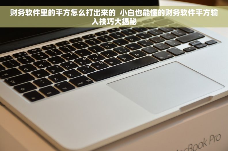 财务软件里的平方怎么打出来的  小白也能懂的财务软件平方输入技巧大揭秘