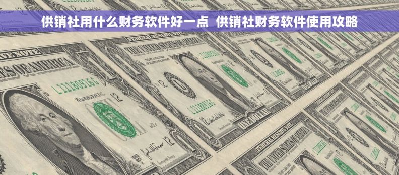 供销社用什么财务软件好一点  供销社财务软件使用攻略
