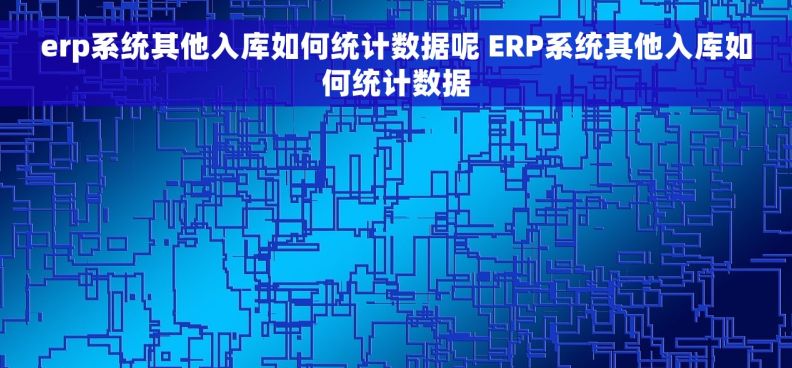 erp系统其他入库如何统计数据呢 ERP系统其他入库如何统计数据