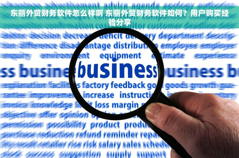 东丽外贸财务软件怎么样啊 东丽外贸财务软件如何？用户购买经验分享