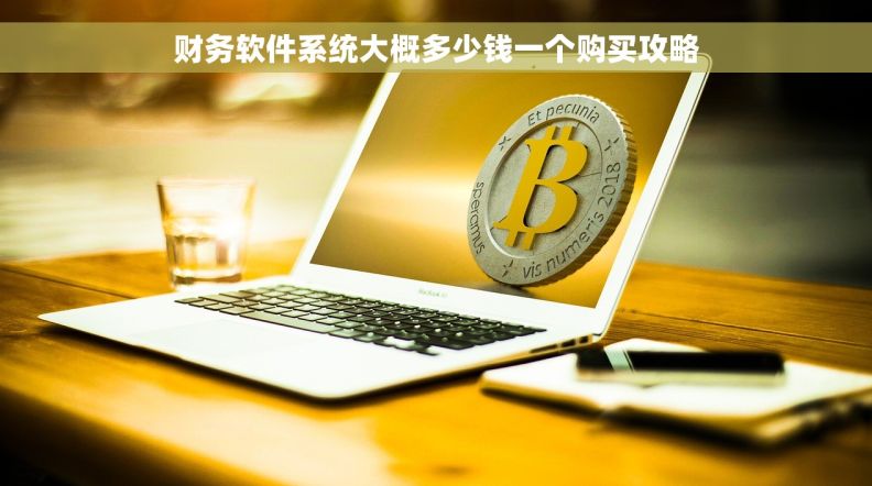 财务软件系统大概多少钱一个购买攻略