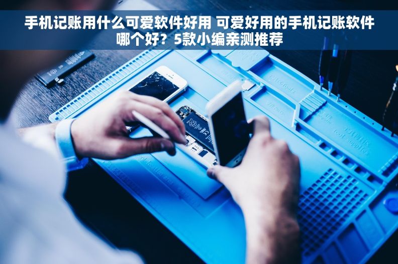 手机记账用什么可爱软件好用 可爱好用的手机记账软件哪个好？5款小编亲测推荐