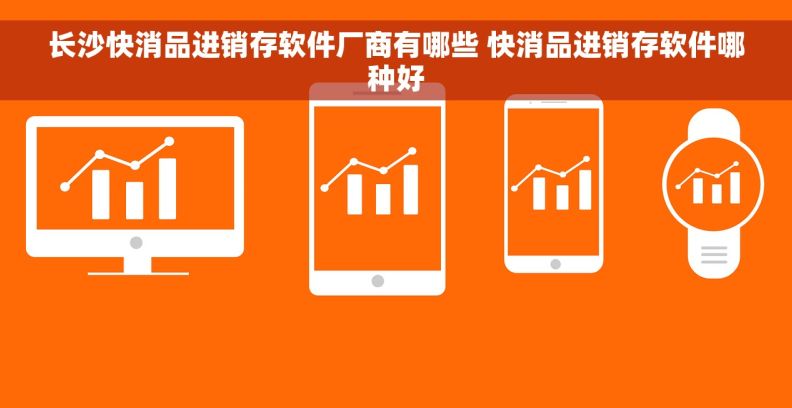 长沙快消品进销存软件厂商有哪些 快消品进销存软件哪种好