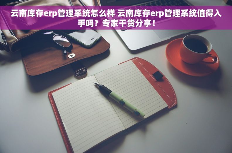 云南库存erp管理系统怎么样 云南库存erp管理系统值得入手吗？专家干货分享！