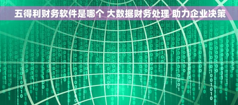  五得利财务软件是哪个 大数据财务处理 助力企业决策