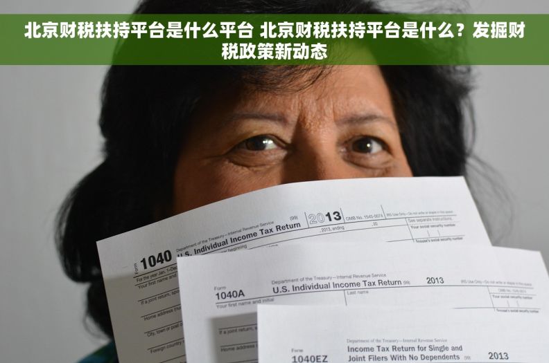 北京财税扶持平台是什么平台 北京财税扶持平台是什么？发掘财税政策新动态