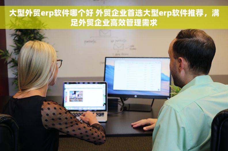 大型外贸erp软件哪个好 外贸企业首选大型erp软件推荐，满足外贸企业高效管理需求
